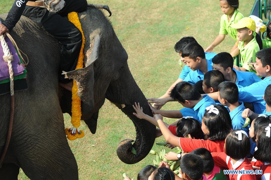 THAILAND-BANGKOK-ELEPHANT POLO