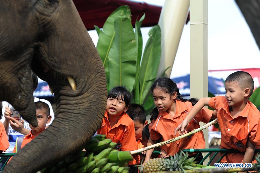 THAILAND-BANGKOK-ELEPHANT POLO