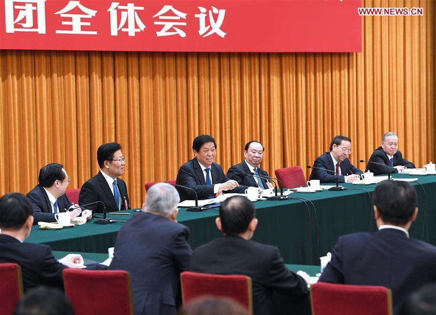 (TWO SESSIONS)CHINA-BEIJING-LI ZHANSHU-NPC-PANEL DISCUSSION (CN)