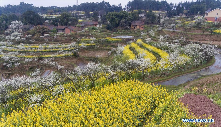 CHINA-SICHUAN-RURAL TOURISM (CN)