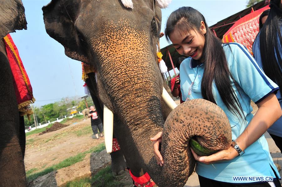 THAILAND-AYUTTHAYA-ELEPHANT DAY