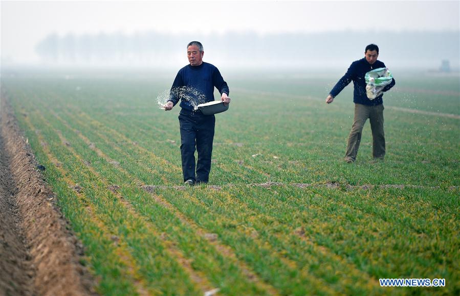 CHINA-SPRING-FARM WORK (CN)