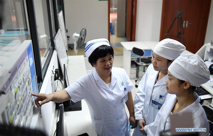 (TWO SESSIONS) CHINA-CPPCC-MEMBER-DU LIQUN (CN)