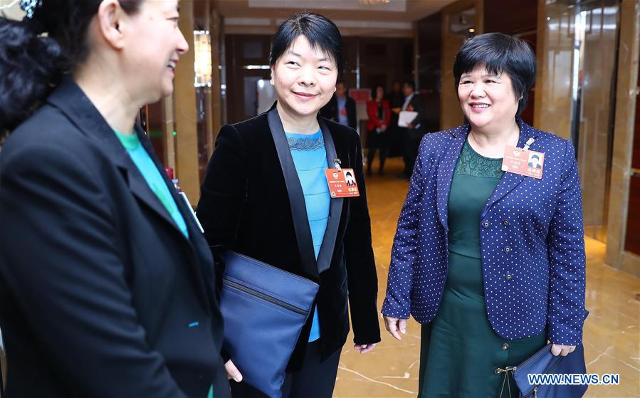 (TWO SESSIONS) CHINA-CPPCC-MEMBER-DU LIQUN (CN)