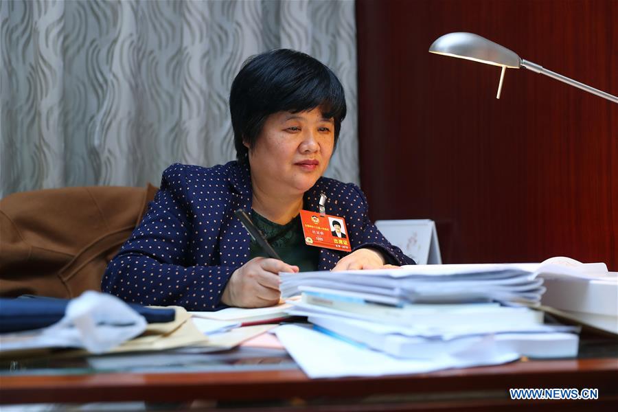 (TWO SESSIONS) CHINA-CPPCC-MEMBER-DU LIQUN (CN)