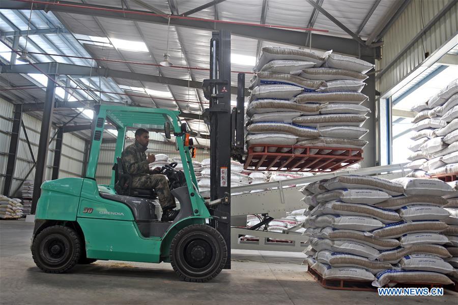 EGYPT-BEHEIRA-CHINA-FACTORY-NEW HOPE GROUP