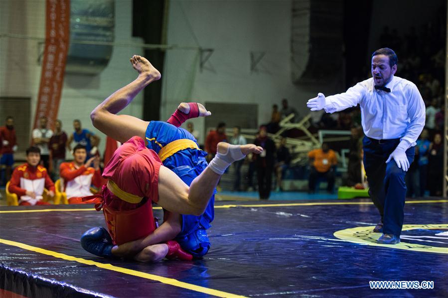 (SP)EGYPT-CAIRO-FREE COMBAT-HORUS CUP