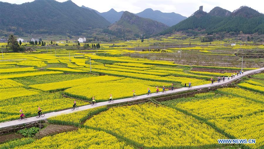 #CHINA-SPRING SCENERY-COLE FLOWERS (CN)