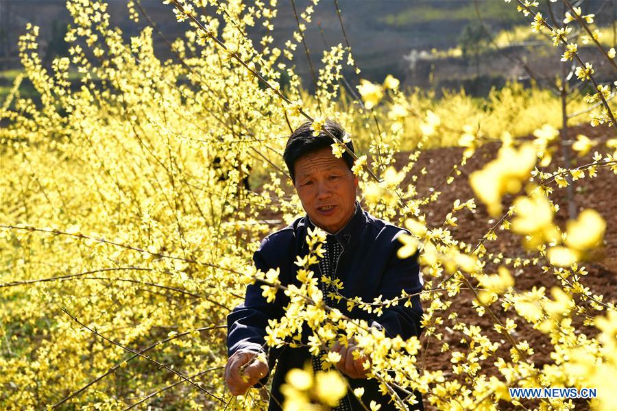 CHINA-HENAN-FARM WORK (CN)