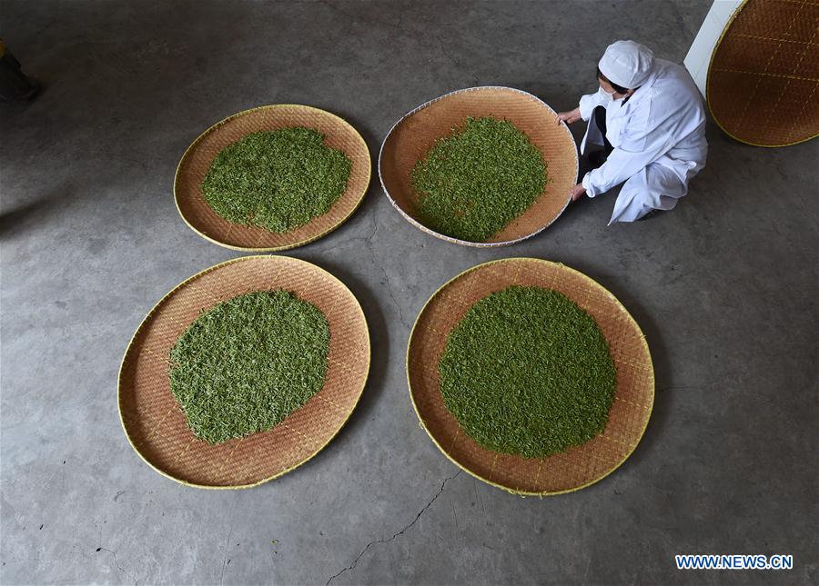 CHINA-NANJING-YUHUA TEA (CN)