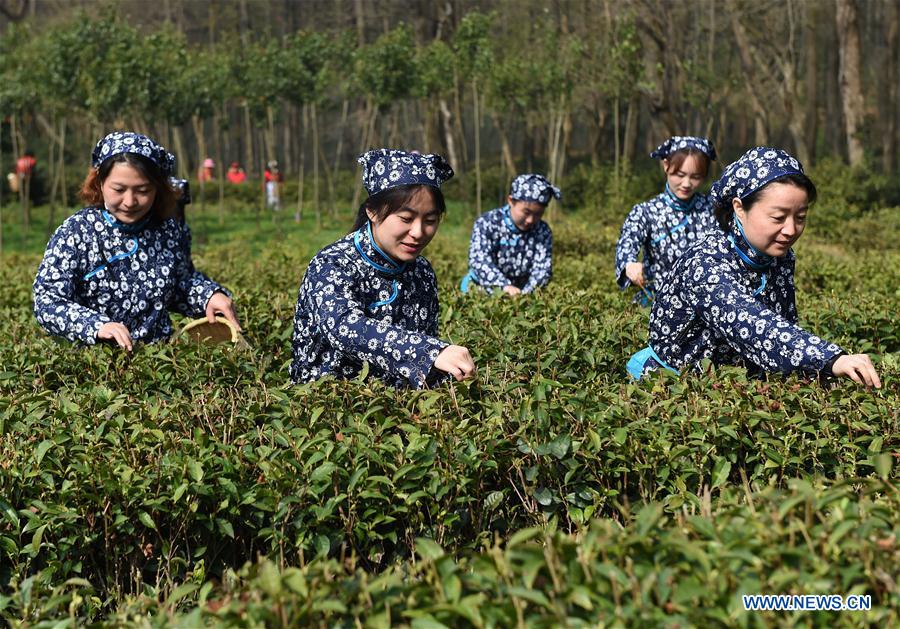 CHINA-NANJING-YUHUA TEA (CN)