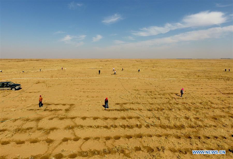 CHINA-INNER MONGOLIA-DESERT-GREENING (CN)