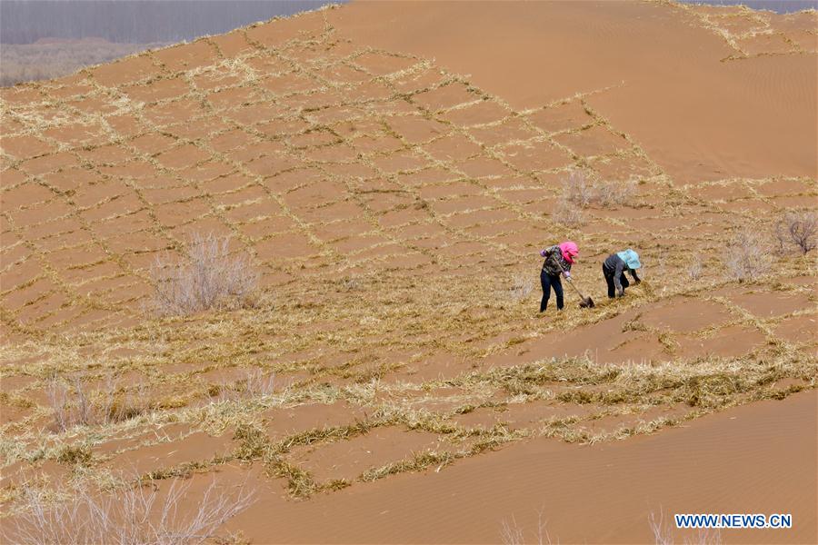 #CHINA-GANSU-DESERT CONTROL (CN)