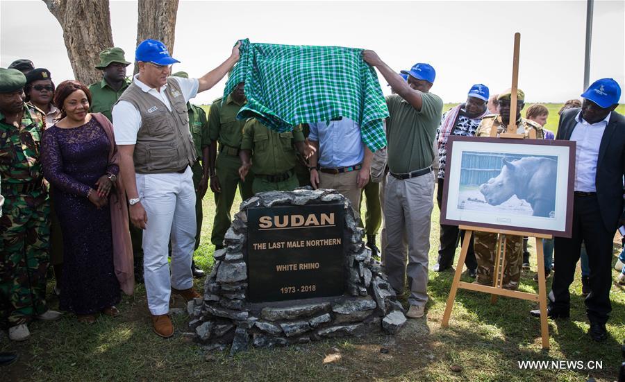 KENYA-LAIKIPIA-LATE MALE NORTHERN WHITE RHINO-SUDAN-MEMORIAL SERVICE