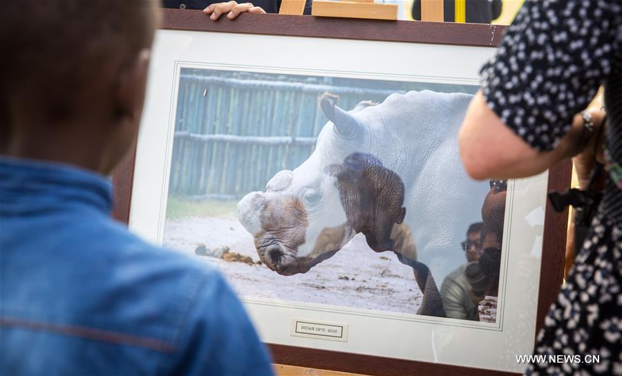 KENYA-LAIKIPIA-LATE MALE NORTHERN WHITE RHINO-SUDAN-MEMORIAL SERVICE