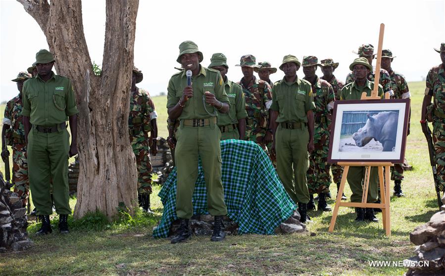 KENYA-LAIKIPIA-LATE MALE NORTHERN WHITE RHINO-SUDAN-MEMORIAL SERVICE
