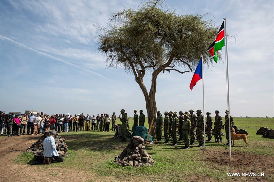 KENYA-LAIKIPIA-LATE MALE NORTHERN WHITE RHINO-SUDAN-MEMORIAL SERVICE