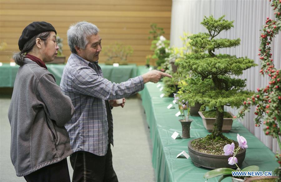 CANADA-VANCOUVER-BONSAI AND FLOWER EXHIBITION
