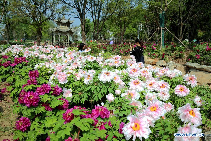 #CHINA-SPRING SCENERY-FLOWERS (CN)