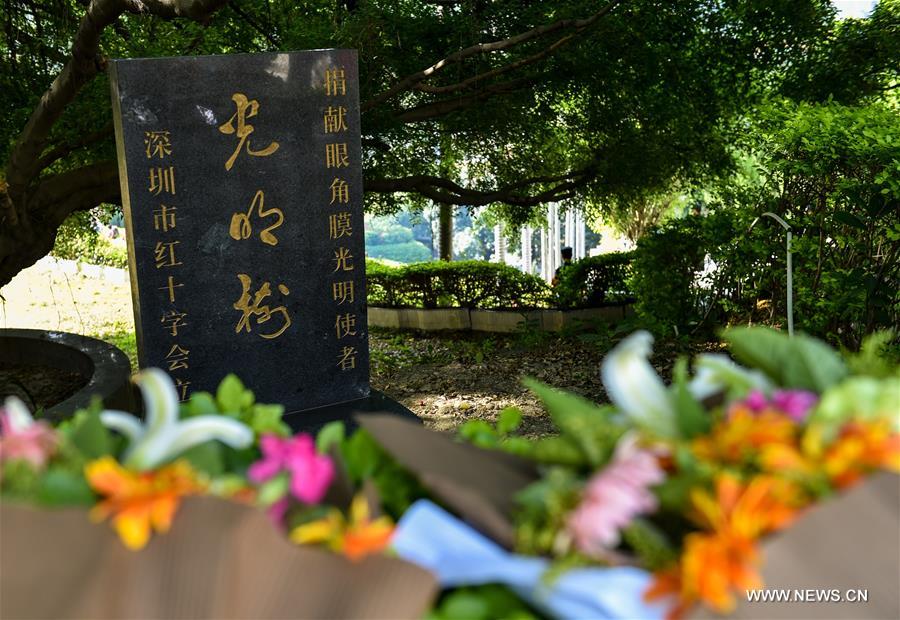 CHINA-SHENZHEN-QINGMING FESTIVAL-COMMEMORATION (CN)