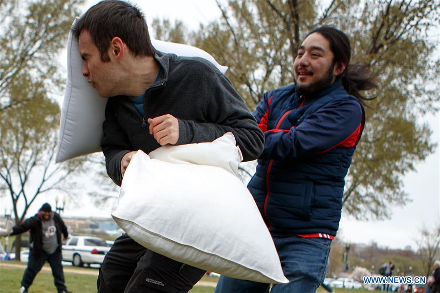 U.S.-WASHINGTON D.C.-PILLOW FIGHT