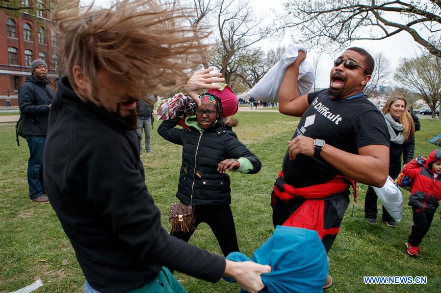 U.S.-WASHINGTON D.C.-PILLOW FIGHT