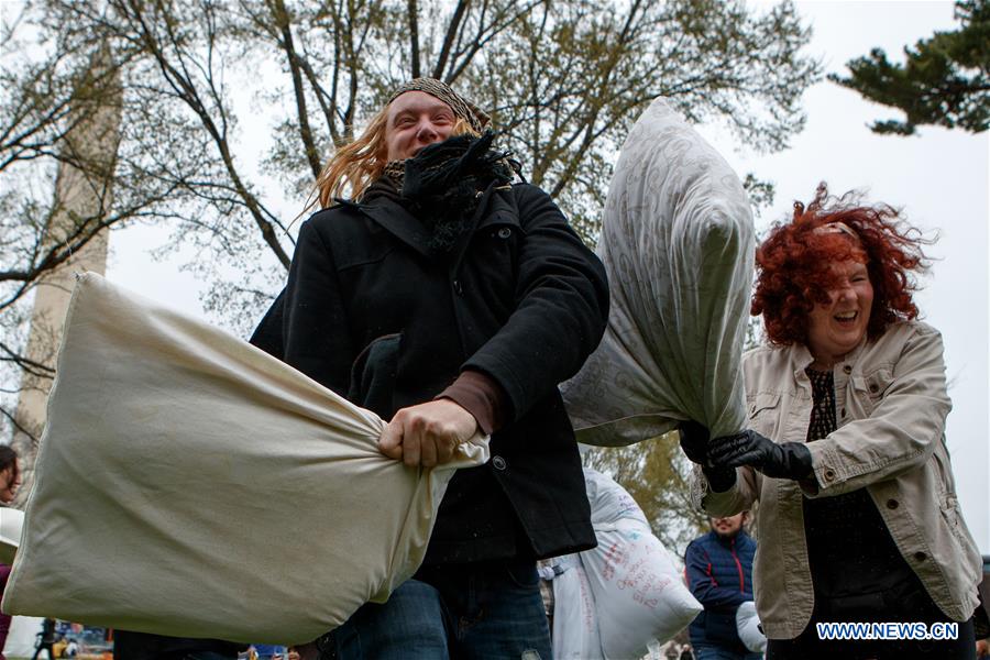 U.S.-WASHINGTON D.C.-PILLOW FIGHT