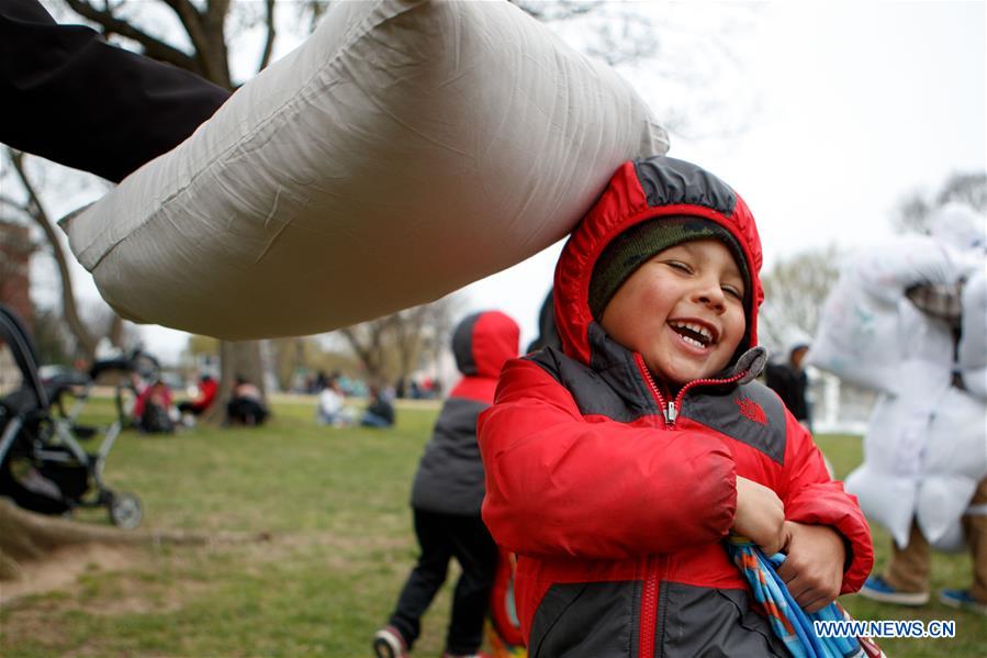 U.S.-WASHINGTON D.C.-PILLOW FIGHT