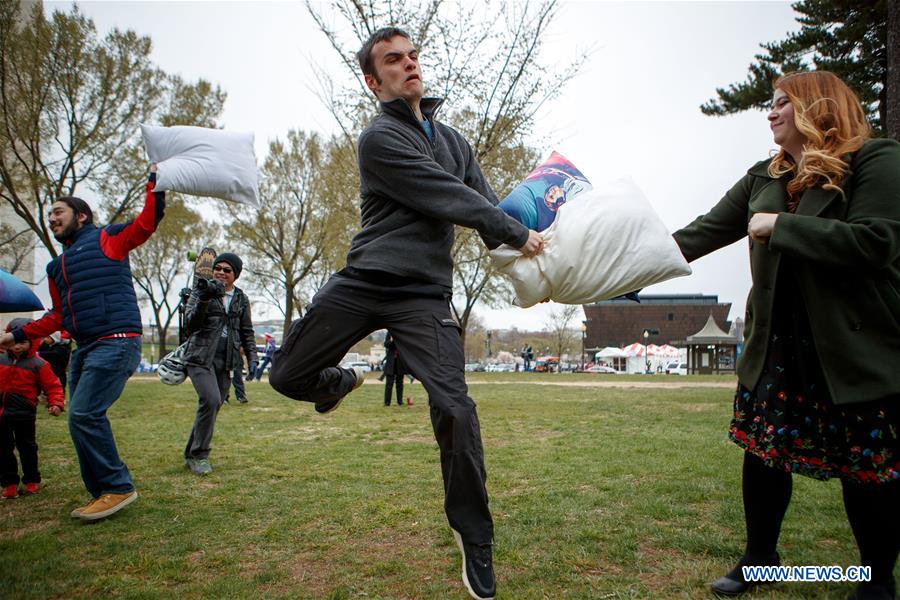 U.S.-WASHINGTON D.C.-PILLOW FIGHT