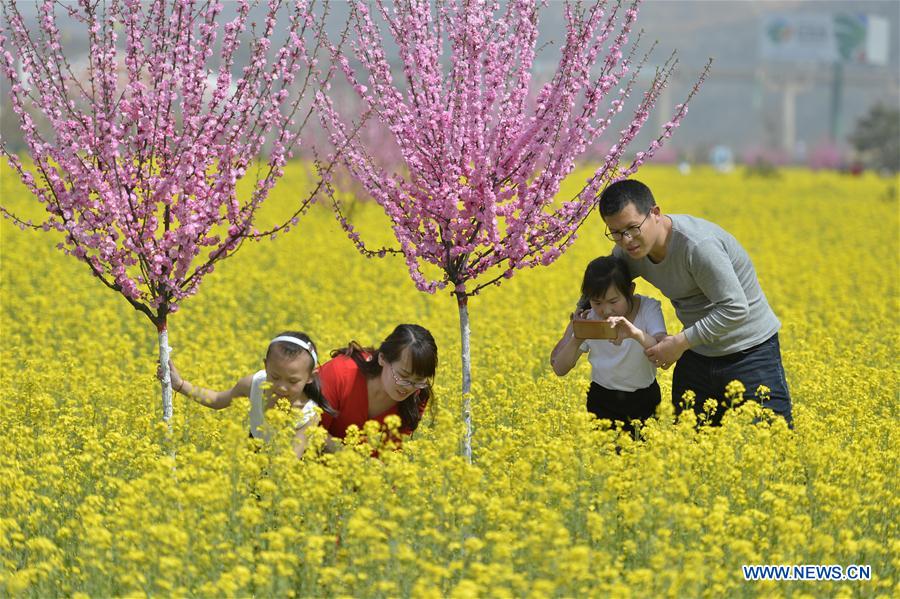CHINA-HEBEI-COLE FLOWER-TOURISM (CN)