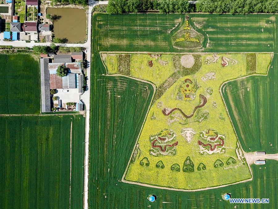 CHINA-NANJING-COLE FLOWER-PATTERN (CN)