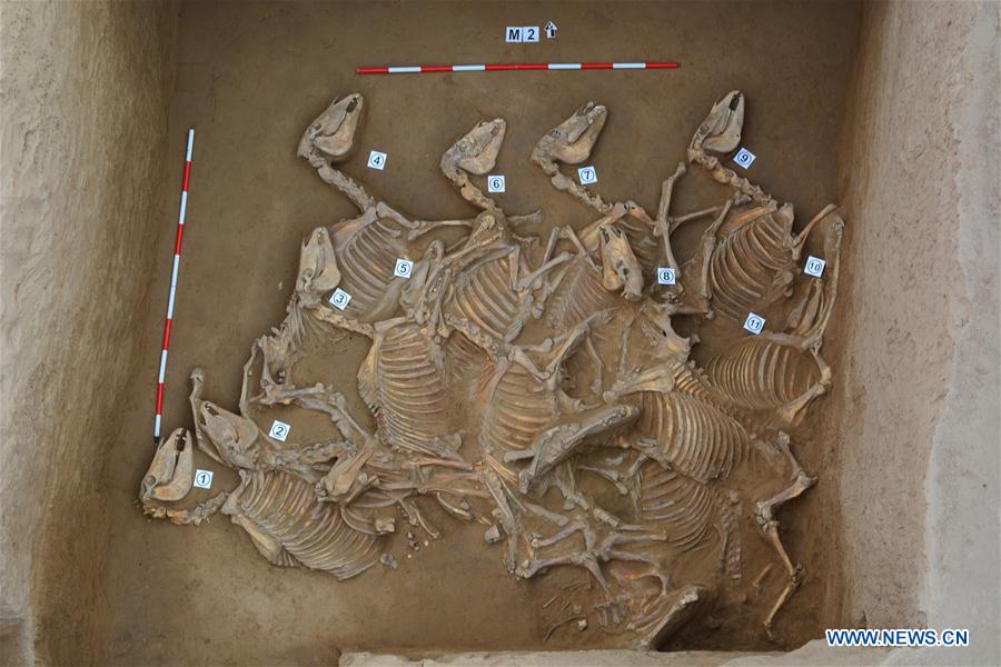 CHINA-TOP 10 ARCHAEOLOGICAL FINDS-2017 (CN)