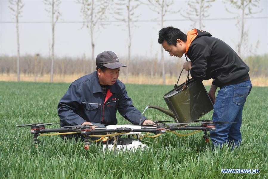 CHINA-HEBEI-DRONES-PESTICIDE (CN)