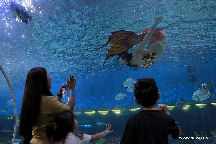 Greetings From Mermaid In Manila Ocean Park Xinhua English News Cn