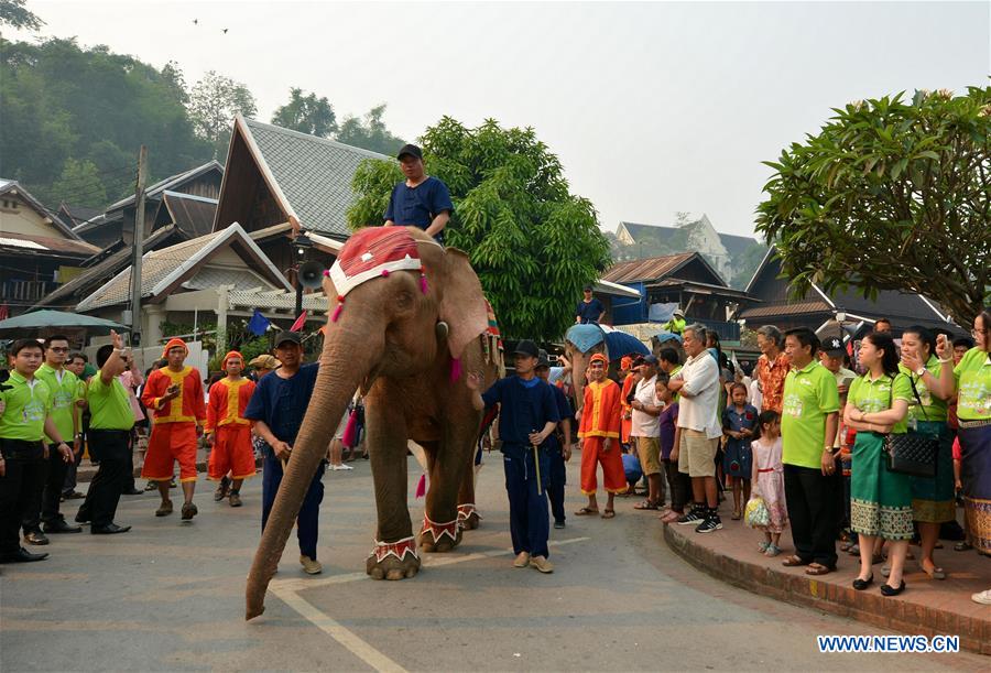 LAOS-LUANG PRABANG-ELEPHANT-NEW YEAR PARADE