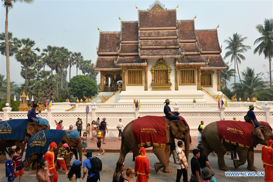 LAOS-LUANG PRABANG-ELEPHANT-NEW YEAR PARADE