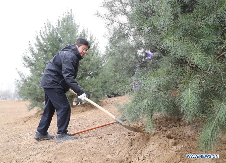 CHINA-BEIJING-CPPCC-TREE PLANTING (CN)