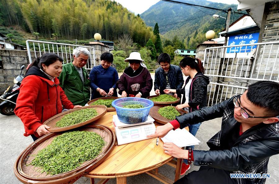 CHINA-FUJIAN-WUYI MOUNTAIN-TEA PRODUCTION (CN)