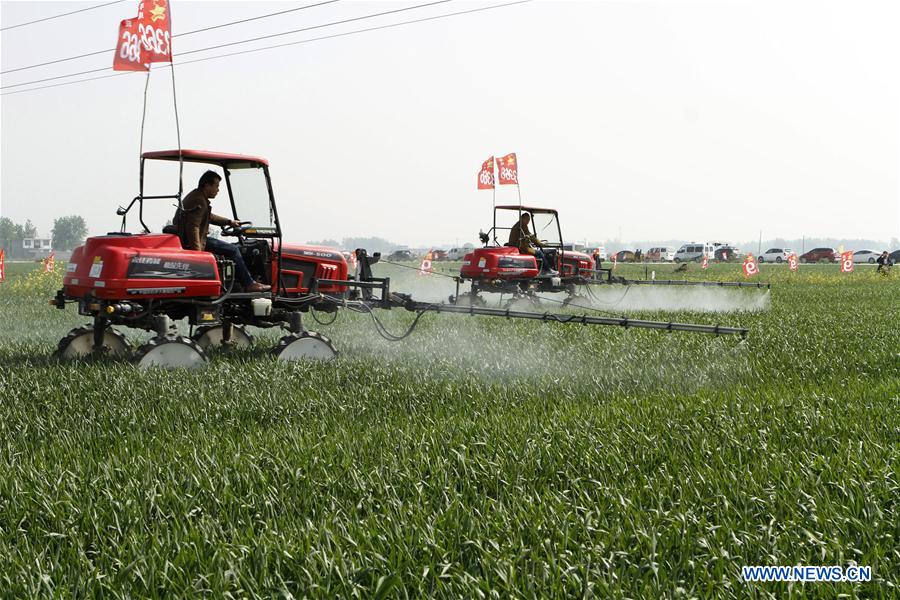 #CHINA-SPRING-FARM WORK(CN)