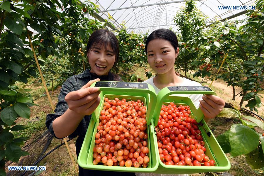 CHINA-JIANGXI-INTELLIGENT LIFE (CN)