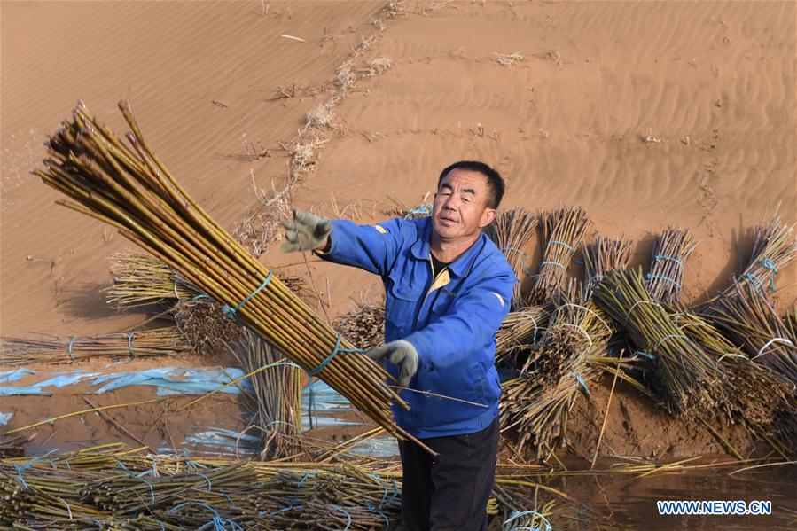 CHINA-INNER MONGOLIA-KUBUQI DESERT-WORKERS (CN)