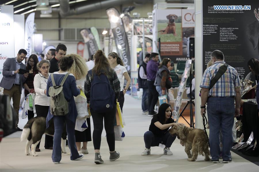 GREECE-THESSALONIKI-EXHIBITION-DOG AND CAT