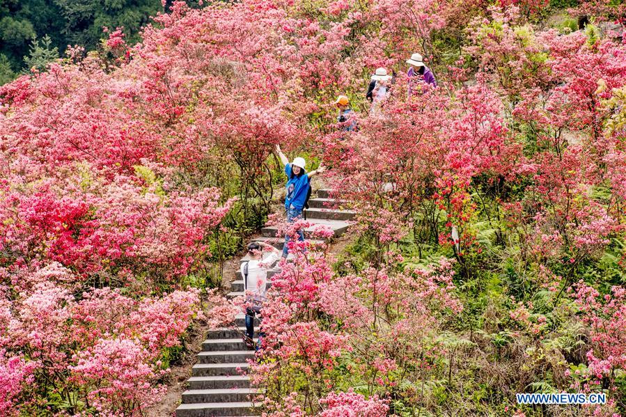 #CHINA-SPRING-FLOWERS (CN)