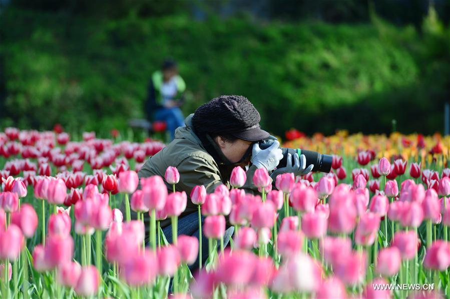 #CHINA-SPRING-SCENERY(CN)