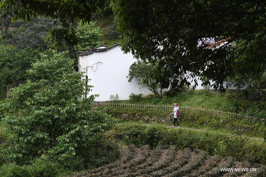 CHINA-ZHEJIANG-VILLAGES-TOURISM-OVERHAUL (CN)