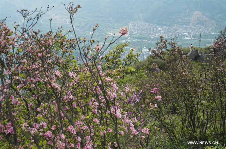 CHINA-ZHEJIANG-VILLAGES-TOURISM-OVERHAUL (CN)