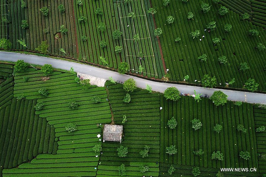 CHINA-ZHEJIANG-VILLAGES-TOURISM-OVERHAUL (CN)