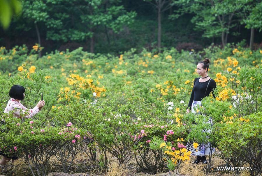 CHINA-ZHEJIANG-VILLAGES-TOURISM-OVERHAUL (CN)