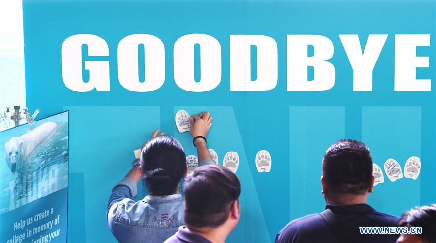 SINGAPORE-ZOO-POLAR BEAR-MEMORIAL SERVICE