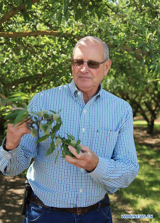 U.S.-CALIFORNIA-MODESTO-ALMOND GROWERS-U.S.-CHINA TRADE RECONCILIATION-URGING